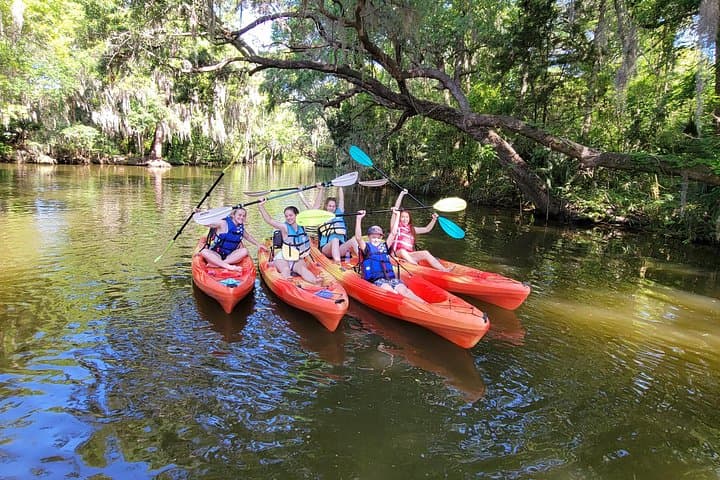 Half-Day Kayak & Paddleboard on Florida's Dora Canal — Tavares Rentals and Wildlife Paddle photo 4
