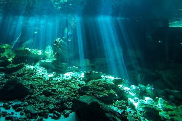 Scuba Diving Cenote Dos Ojos: Barbie Line & Batcave Adventure from Playa del Carmen photo 2