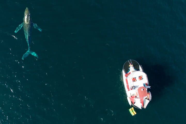 Marietas Islands Full-Day All-Inclusive Boat Tour from Puerto Vallarta photo 5