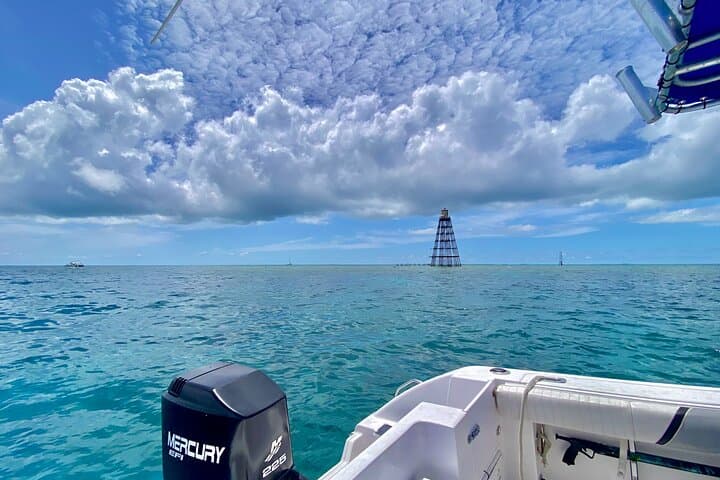 Discover the Vibrant Reefs of Key West: A Snorkeling Adventure with Salty Paws photo 5