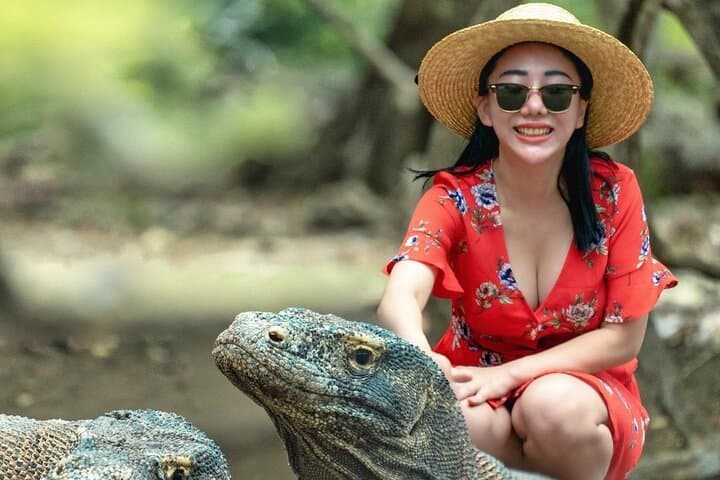 Komodo Archipelago Liveaboard: 3-Day Komodo, Padar & Manta Tour from Labuan Bajo photo 1