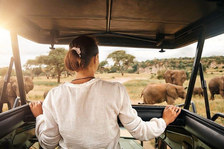 3-Day Tarangire, Ngorongoro and Lake Manyara Camping Safari from Arusha photo 2