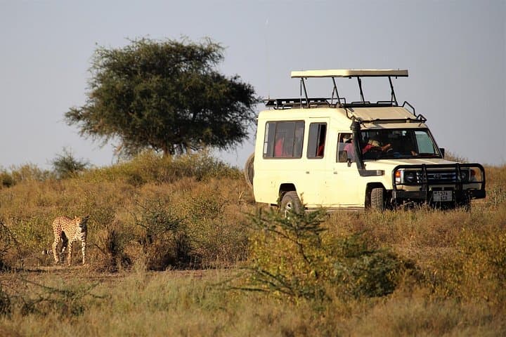 3-Day Tarangire, Ngorongoro and Lake Manyara Camping Safari from Arusha photo 4