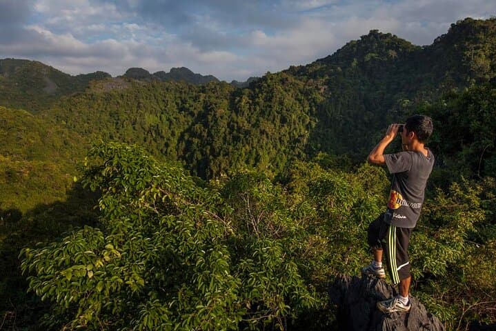 Intense Half-Day Trek in Cat Ba's Butterfly Valley — Rugged Trails & Langur Habitat photo 3