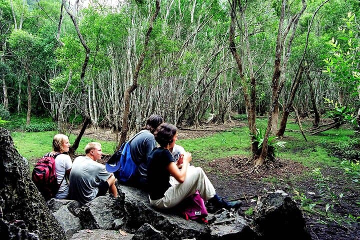 Intense Half-Day Trek in Cat Ba's Butterfly Valley — Rugged Trails & Langur Habitat photo 4