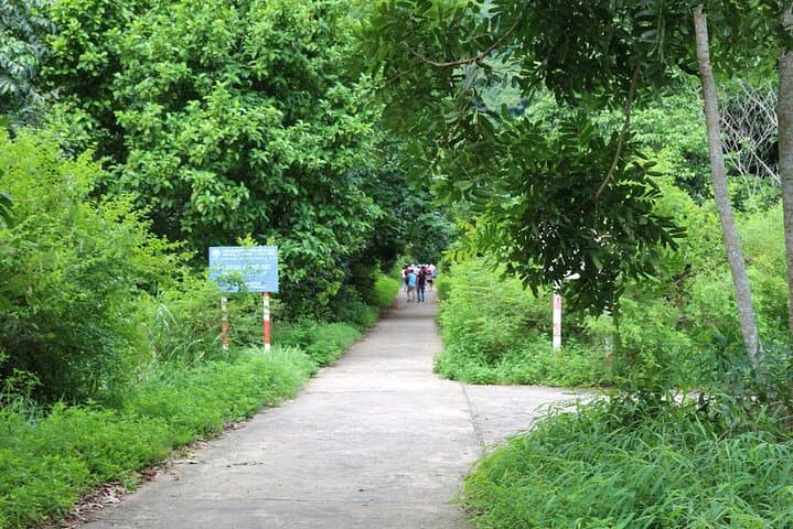 Intense Half-Day Trek in Cat Ba's Butterfly Valley — Rugged Trails & Langur Habitat photo 6