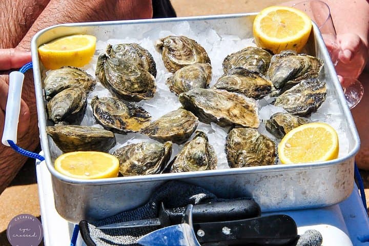 Surf, SUP and Oysters in Ria Formosa: Praia de Faro Coastal Experience photo 1