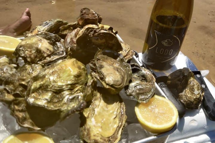 Surf, SUP and Oysters in Ria Formosa: Praia de Faro Coastal Experience photo 2