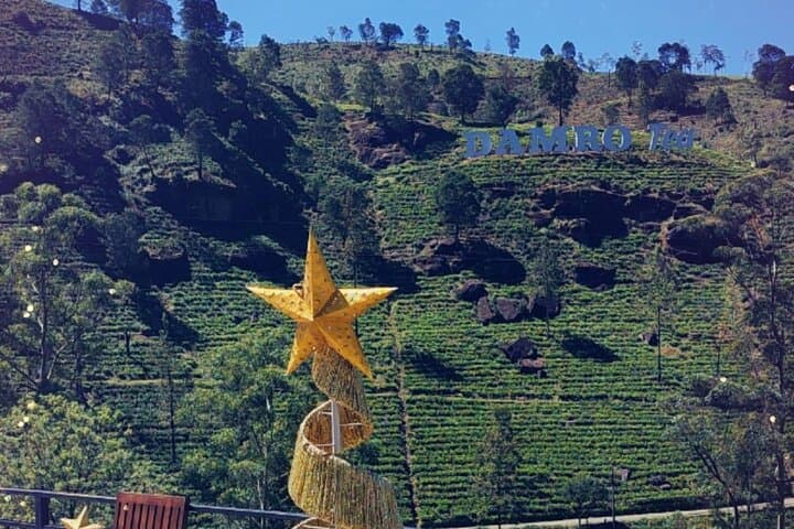 Half-Day Waterfalls & Tea Factory Tour from Nuwara Eliya photo 4