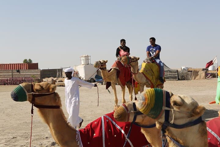 Sunrise Desert Tour & Camel Safari from Doha — 4-Hour Inland Sea Dip photo 1