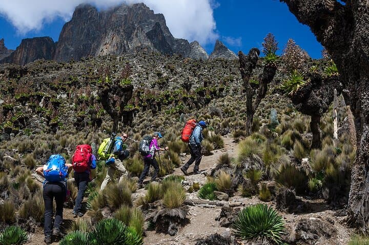 Summit Point Lenana: 6-Day Guided Hike on Mount Kenya photo 5