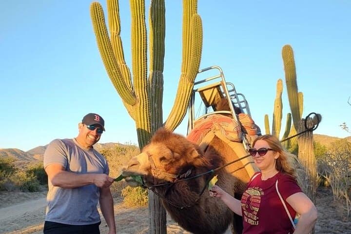 Pacific Coast Camel Ride & Damiana Tasting — Los Cabos Beach Adventure photo 2