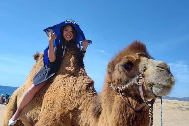 Pacific Coast Camel Ride & Damiana Tasting — Los Cabos Beach Adventure photo 4
