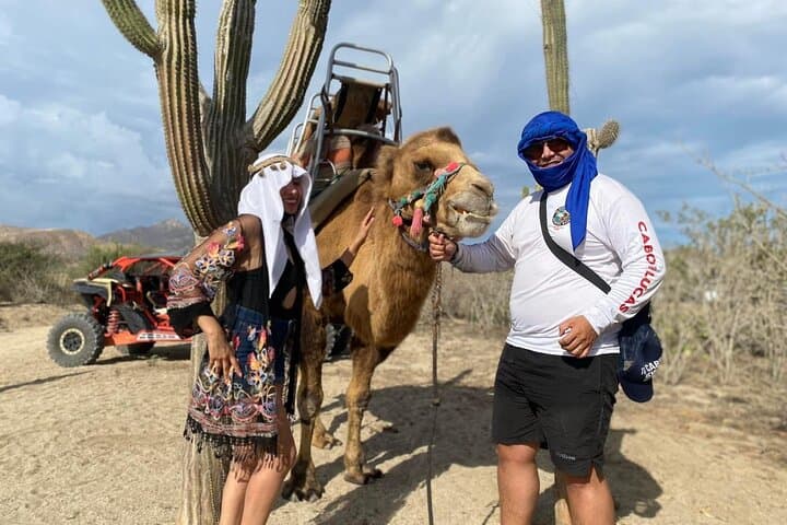 Pacific Coast Camel Ride & Damiana Tasting — Los Cabos Beach Adventure photo 5