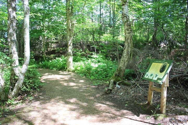 Exploring Green Gables Shore: A Scenic Half-Day Tour from Charlottetown photo 5