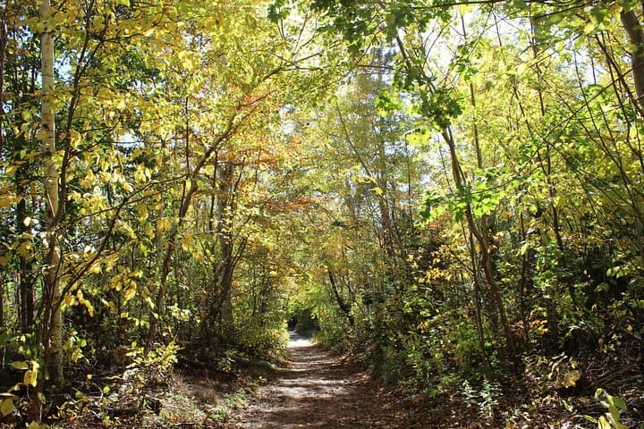 Exploring Green Gables Shore: A Scenic Half-Day Tour from Charlottetown photo 6