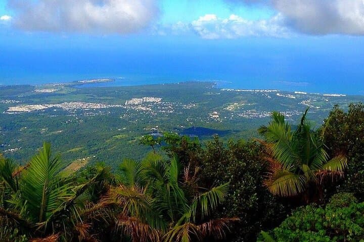 El Yunque Rainforest Guided Tour from San Juan — La Coca Fall & Mt. Britton