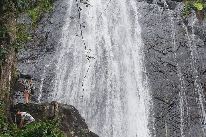 El Yunque Rainforest Guided Tour from San Juan — La Coca Fall & Mt. Britton photo 2