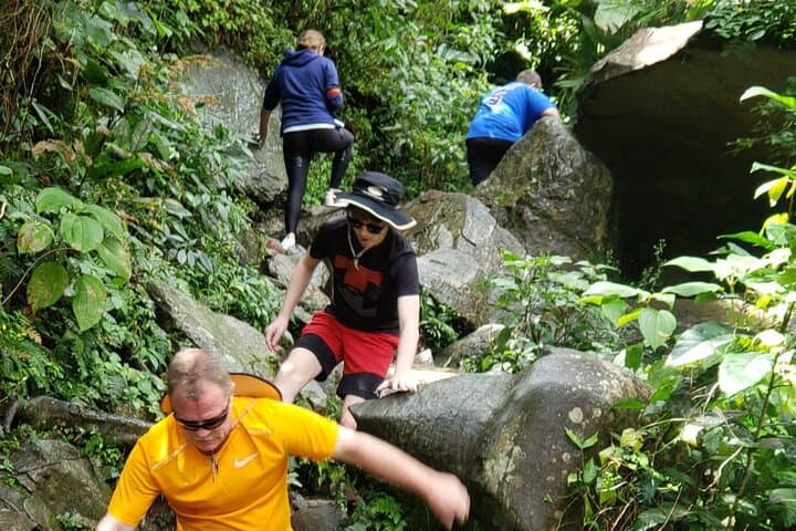 El Yunque Rainforest Guided Tour from San Juan — La Coca Fall & Mt. Britton photo 4