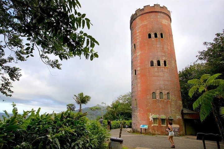 El Yunque Rainforest Guided Tour from San Juan — La Coca Fall & Mt. Britton photo 6