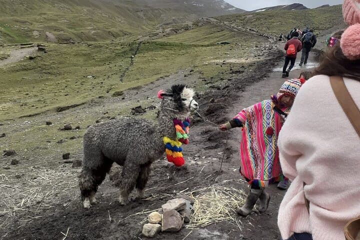 High-Altitude Trek to Vinicunca Rainbow Mountain: Full-Day Andean Hike from Cusco photo 6