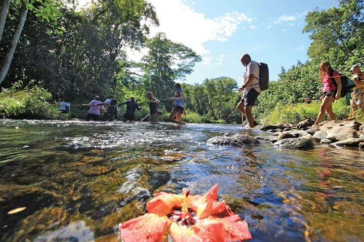 Secret Falls Kayak and Hike: Wailua River to Uluwehi Falls photo 5