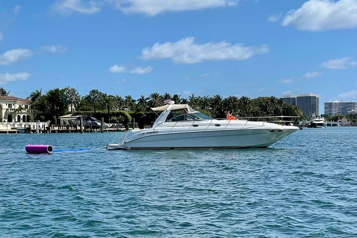Miami Biscayne Bay Private Yacht Party — Snorkel Sandbars & Dolphin Sightings
