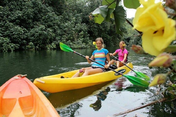 Secret Falls Kayak and Hike: Wailua River to Uluwehi Falls