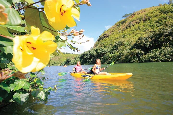 Secret Falls Kayak and Hike: Wailua River to Uluwehi Falls photo 4