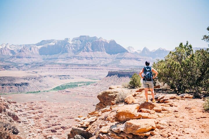 Gooseberry & Wire Mesa Hike: Petroglyphs, Dinosaur Tracks & Sweeping Zion Views photo 5