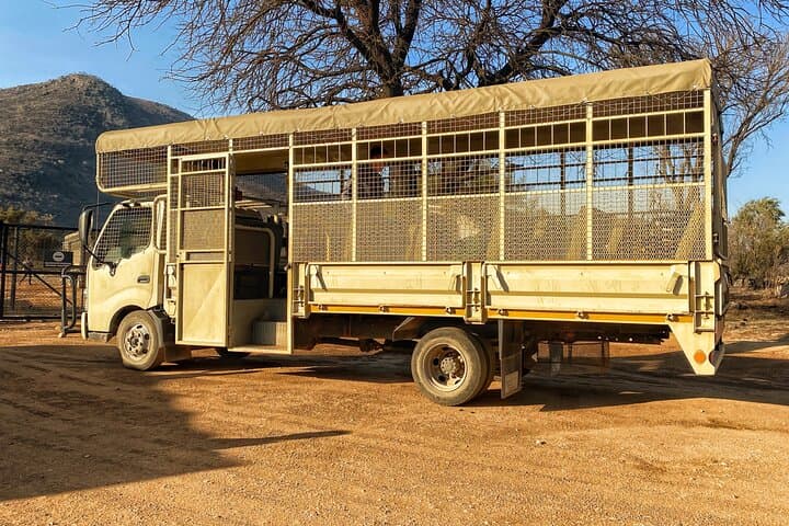 Private Lion & Safari Park Tour from Johannesburg — 5-Hour Guided Wildlife Experience photo 5
