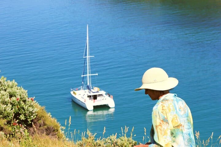 Bay of Islands Full-Day Catamaran Charter with Island Stop and Lunch photo 5