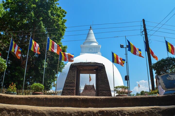 10-Day Sri Lanka Highlights: Sigiriya, Hill Country, Safaris & Whale Watching photo 5