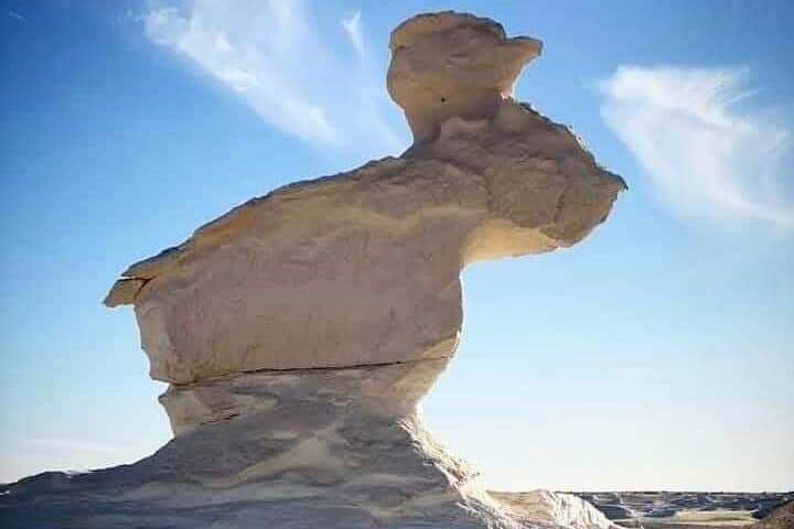 2-Day White Desert & Bahariya Oasis Safari — Overnight Camping in Egypt's Western Desert photo 3