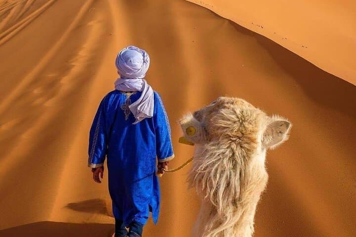 4-Day Atlas and Sahara Private Trip from Marrakech — High Atlas, Dades & Erg Chebbi photo 1