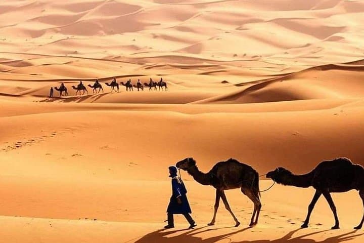4-Day Atlas and Sahara Private Trip from Marrakech — High Atlas, Dades & Erg Chebbi photo 2