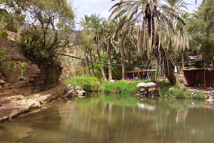Paradise Valley Trekking from Agadir: Palm Gorges, Rock Pools & Short Hike photo 5