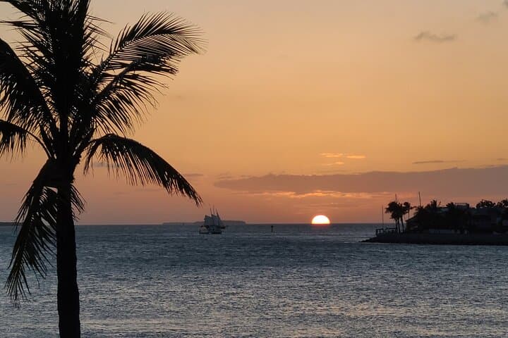 Exploring the Florida Keys: A Private Full-Day Road Trip from Key Largo to Key West photo 4