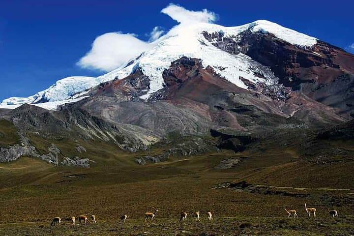 Avenue of Volcanoes Trek: 6-Day Andes Hiking from Quito to Baños photo 3