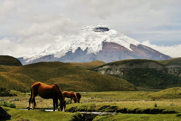 Avenue of Volcanoes Trek: 6-Day Andes Hiking from Quito to Baños photo 4