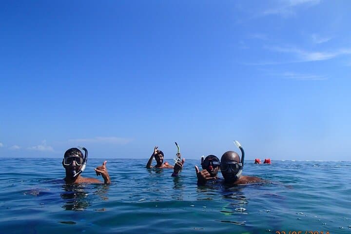 Cahuita Full-Day Snorkel, Hike & Sloth Sanctuary Adventure from Puerto Viejo