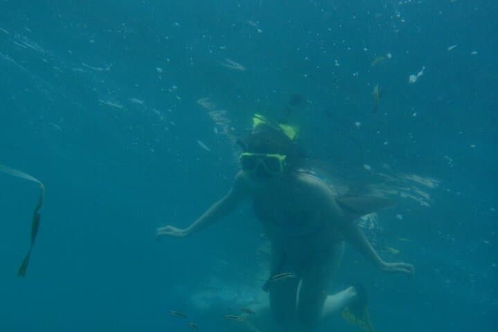 Cahuita Full-Day Snorkel, Hike & Sloth Sanctuary Adventure from Puerto Viejo photo 4