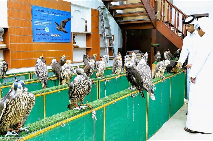Doha Transit City Tour from Hamad Airport — 4-Hour Highlights: Museums, Souq & Corniche photo 4