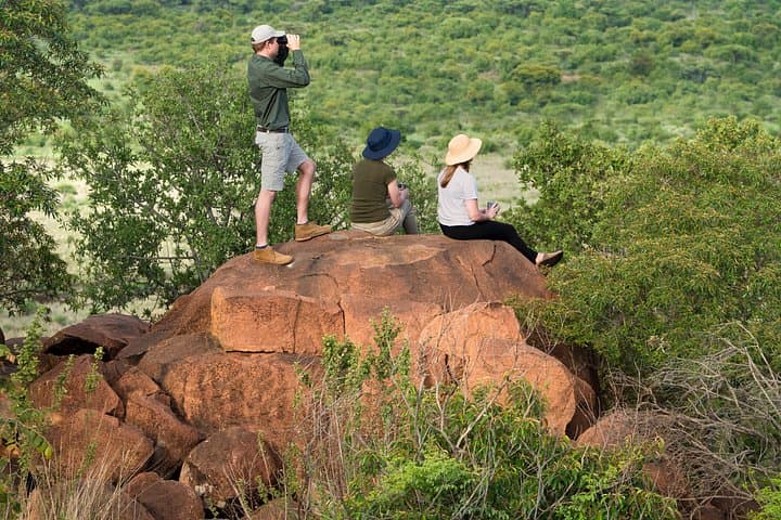 Private Pilanesberg Full-Day Safari from Johannesburg — Big Five Game Drive photo 4