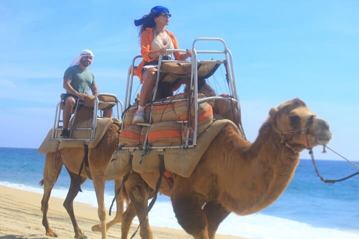 Cabo Camelback Safari & ATV Combo: Desert Dunes to Beach Rides photo 4