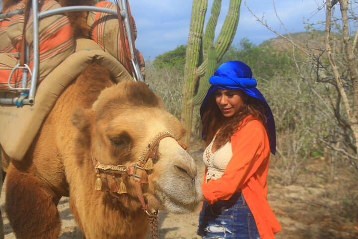 Cabo Camelback Safari & ATV Combo: Desert Dunes to Beach Rides photo 6