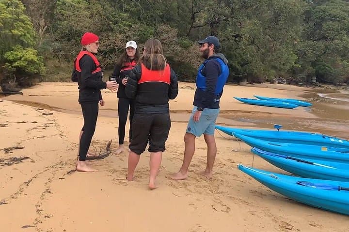 Paddle Manly Cove: Guided Kayak Tour to Little Manly & Quarantine Beaches photo 4