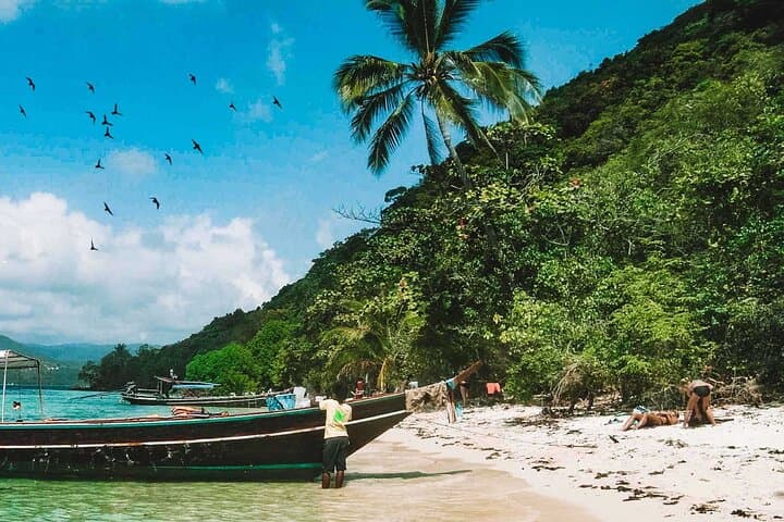 Koh Samui Island Hopping: Coral Snorkeling & Pig Island Day Tour photo 3