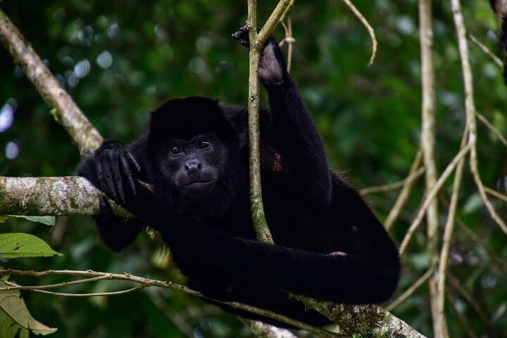 Arenal Jungle ATV & Maleku Cultural Tour from La Fortuna photo 6