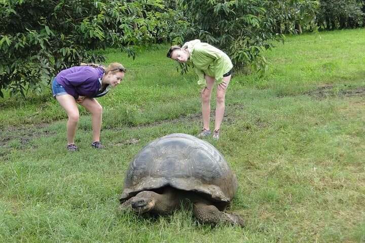 Galapagos Active Adventure: 8-Day Three-Island Island-Hopping Itinerary photo 5